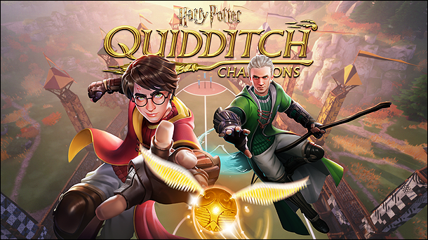 Harry Potter Quidditch Champions