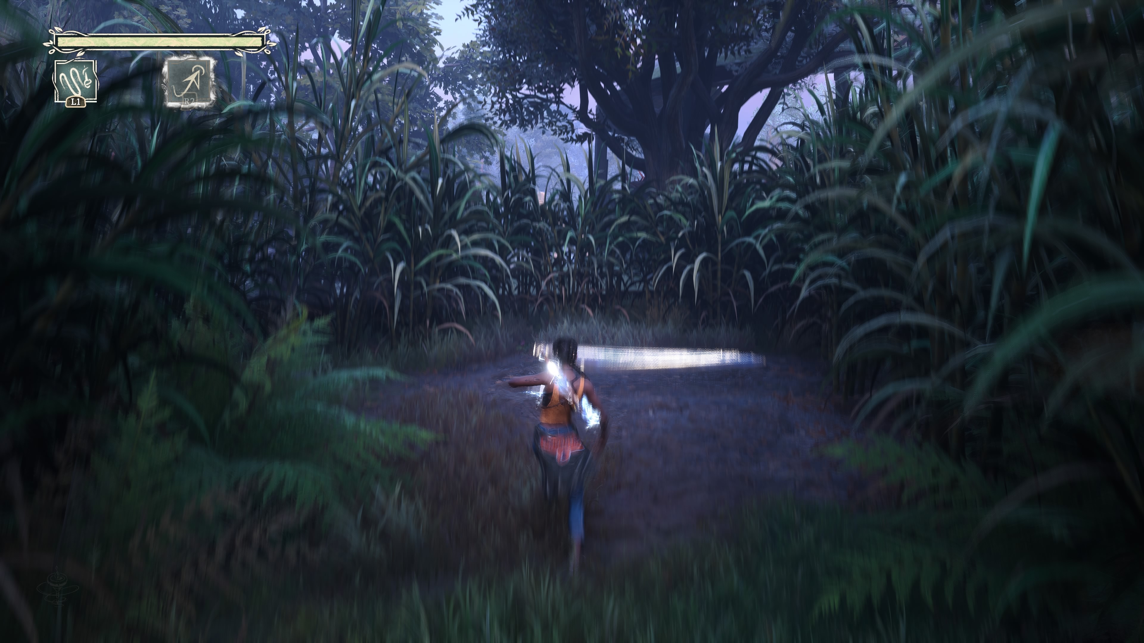 South of Midnight