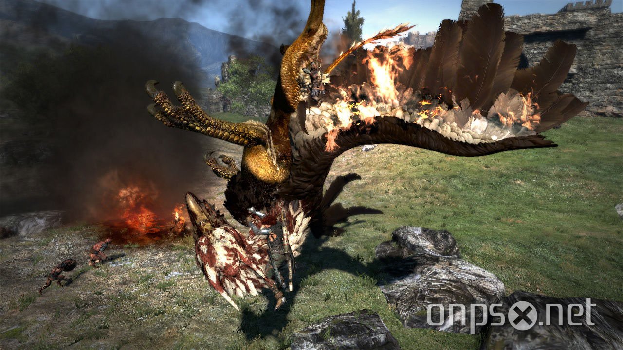 Dragon`s Dogma
