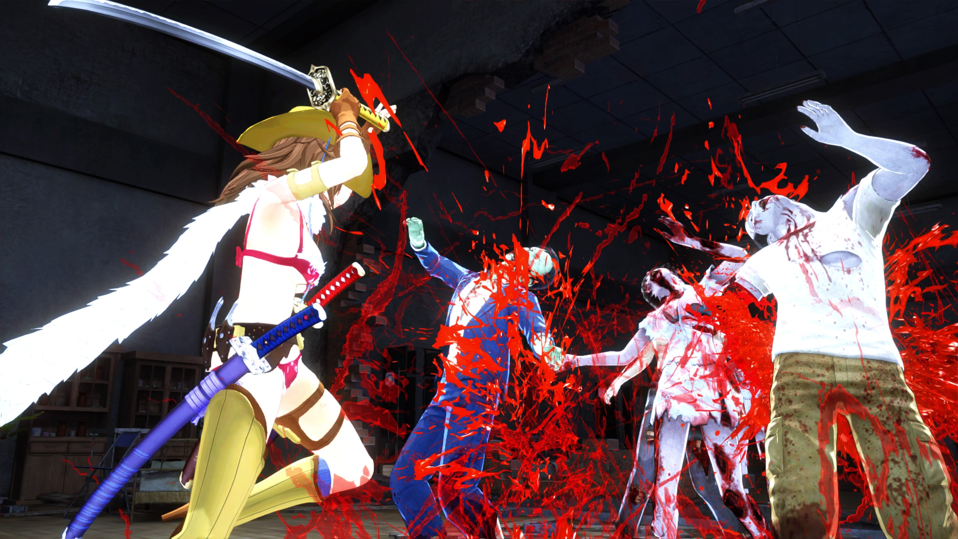 Onee Chanbara Origin