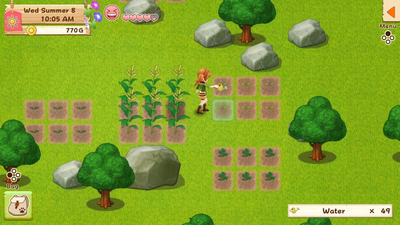 Harvest Moon: Light of Hope Special Edition
