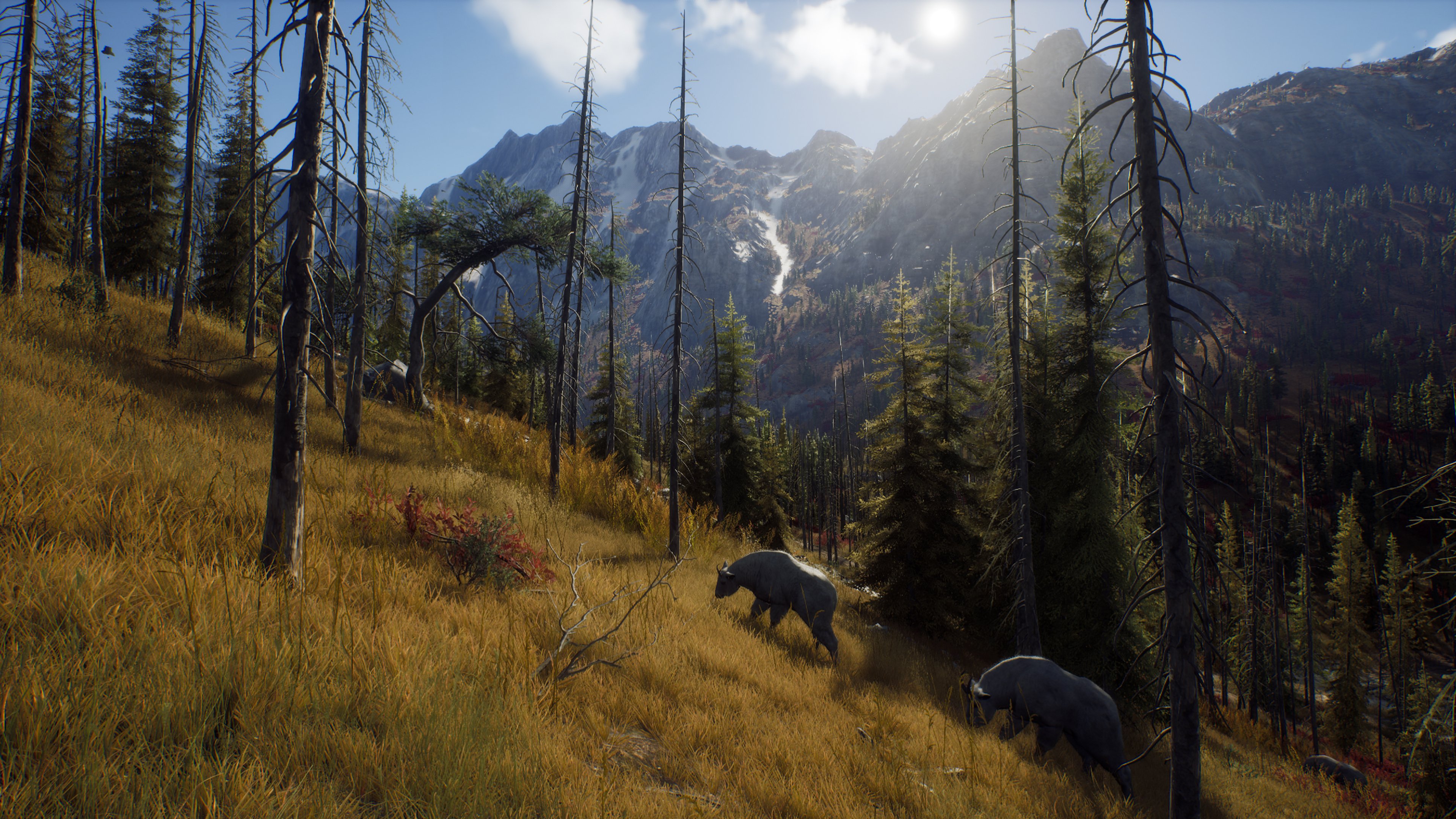 Way of the Hunter - Tikamoon Plains DLC hat einen Termin