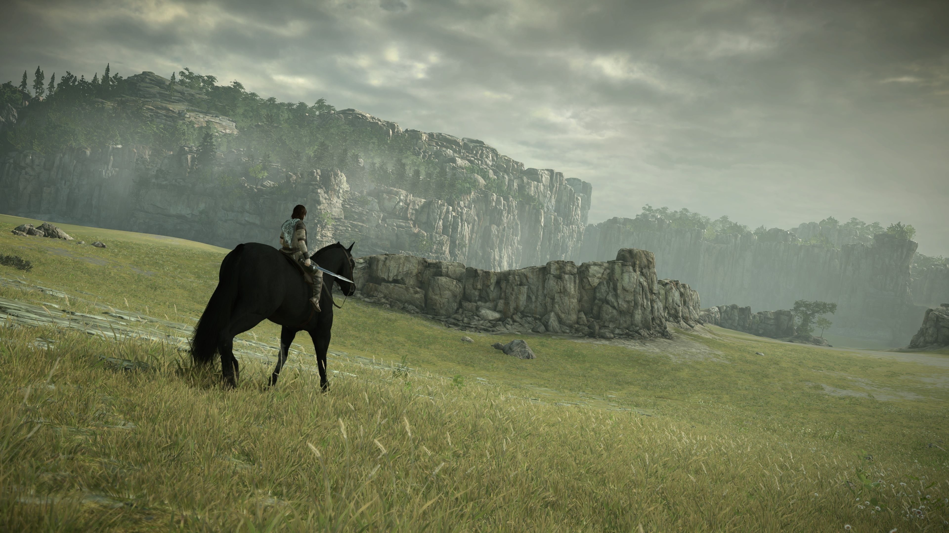 Shadow of the Colossus