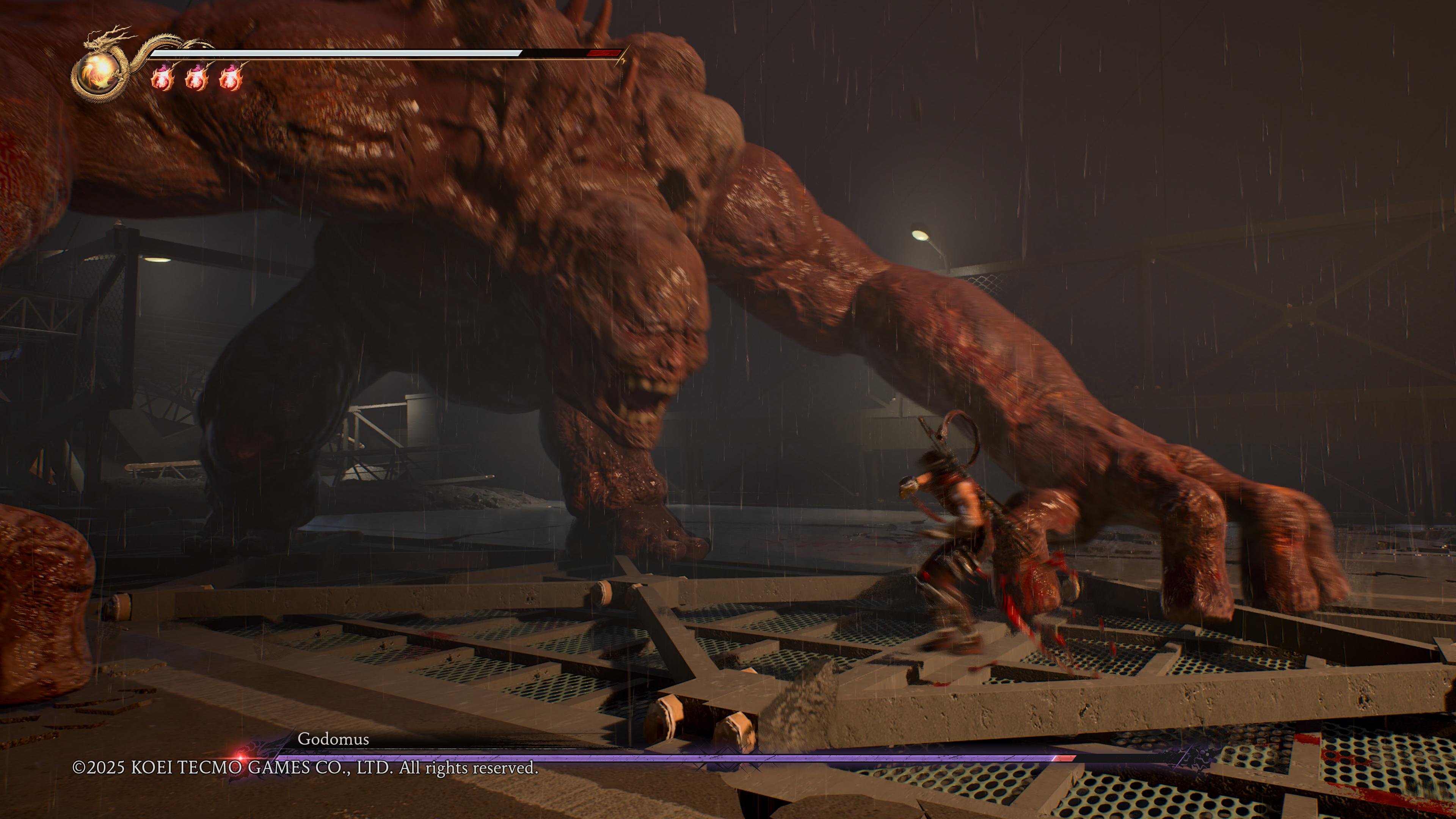 Ninja Gaiden 2 Black