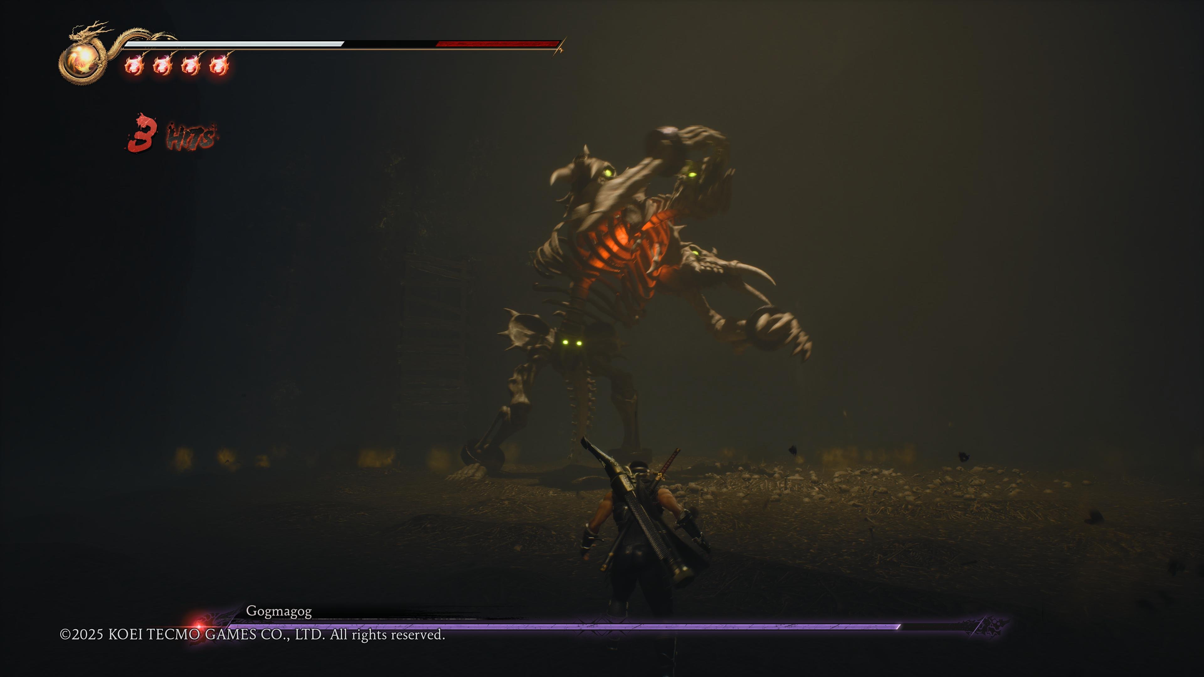 Ninja Gaiden 2 Black