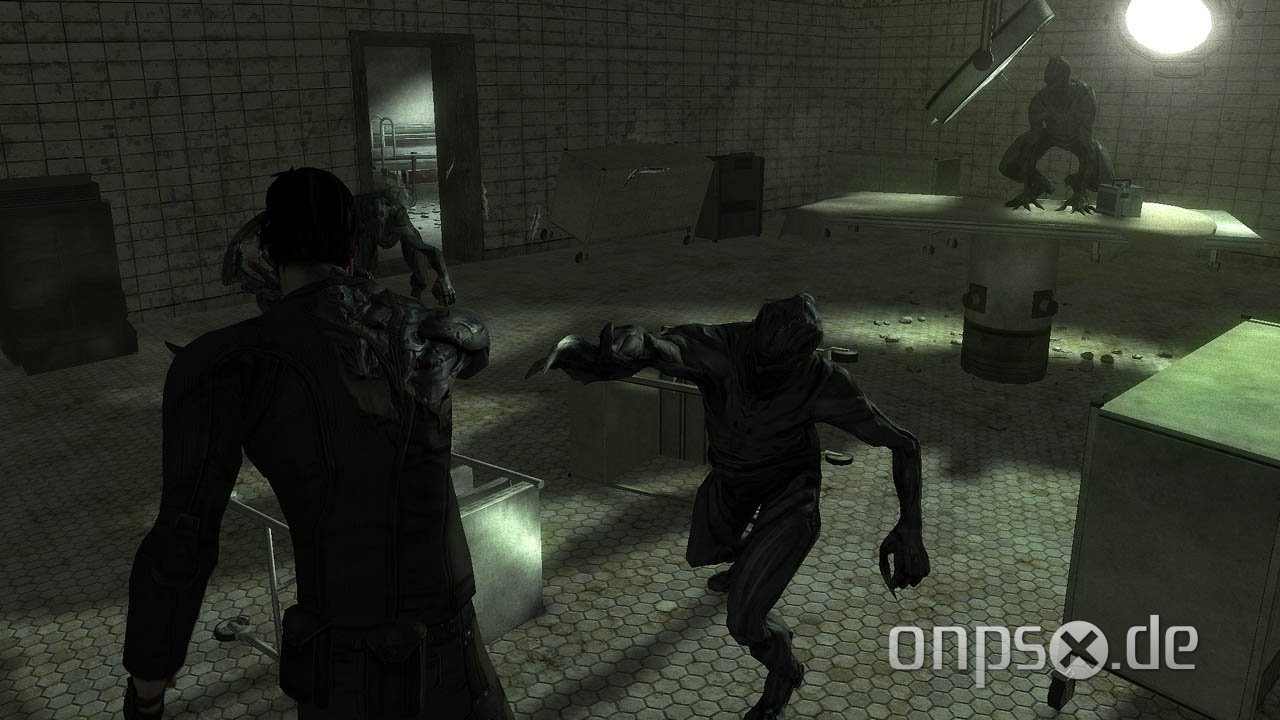 Dark Sector