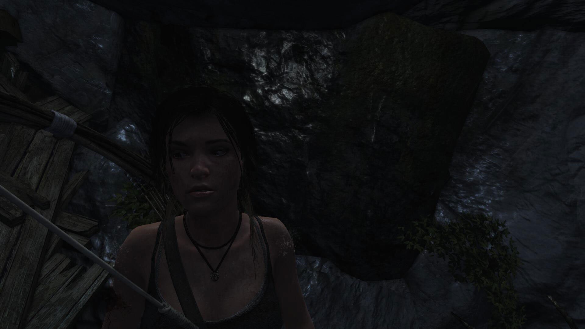 Tomb Raider: Definitive Edition