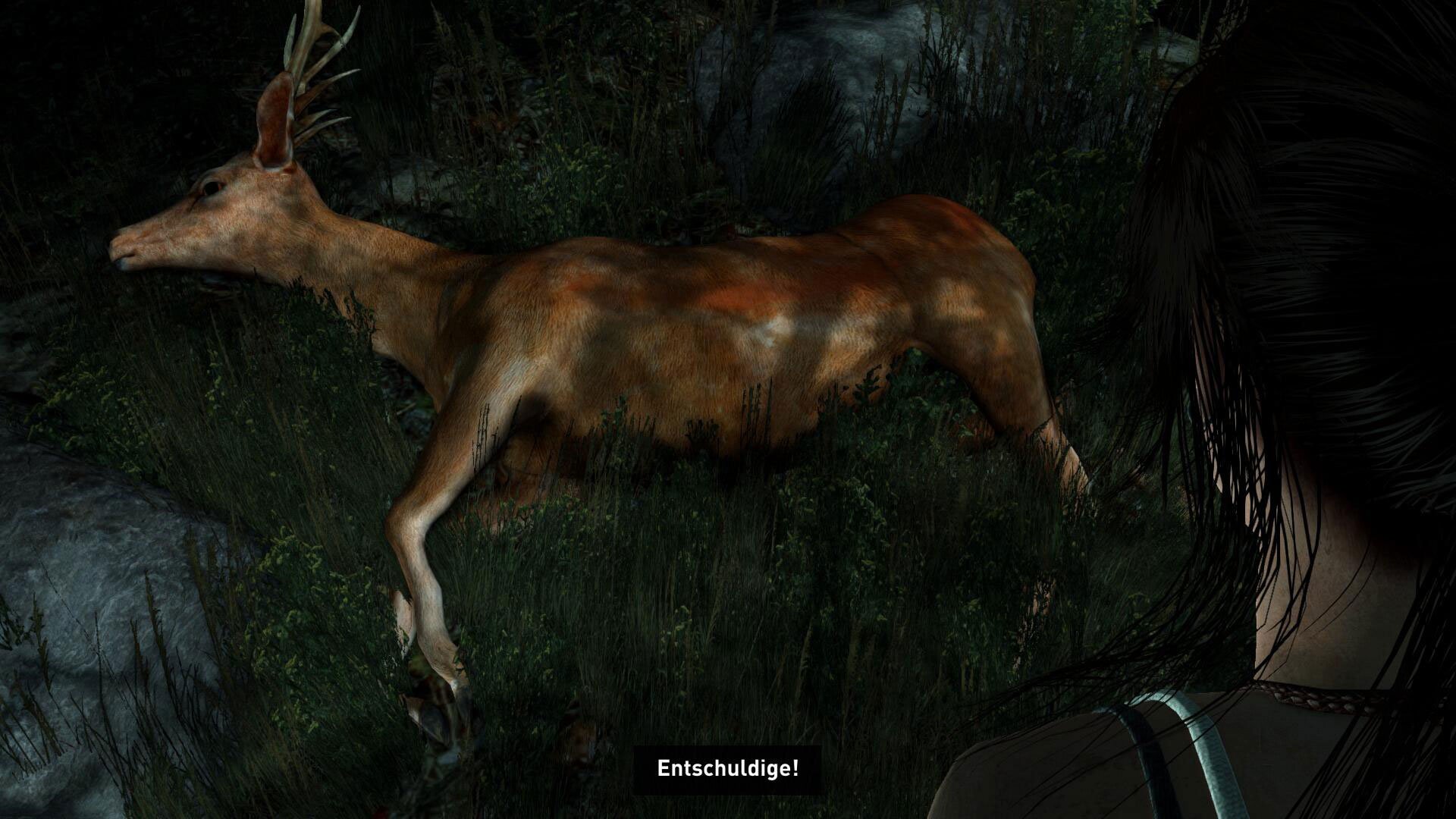 PSN Store - EU Update vom 29. Januar 2014