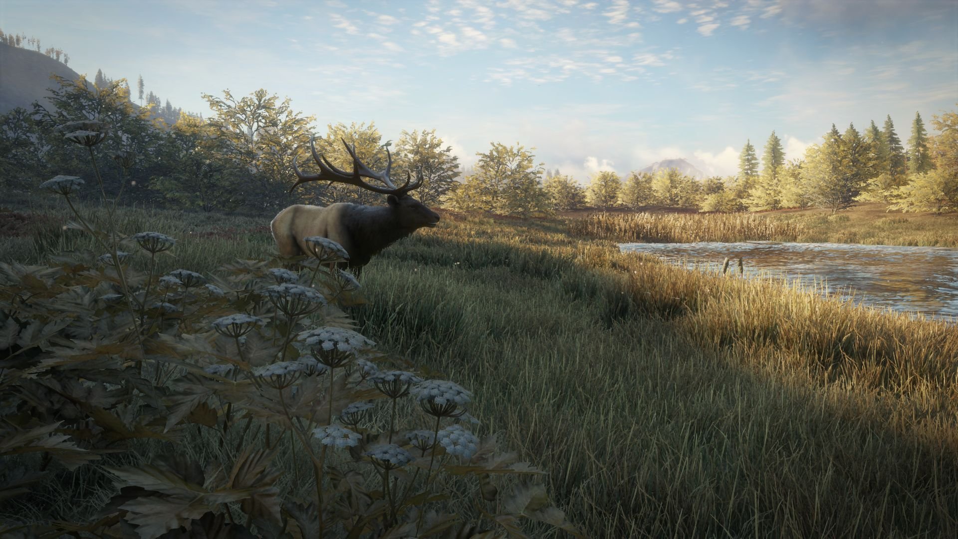 theHunter: Call of the Wild