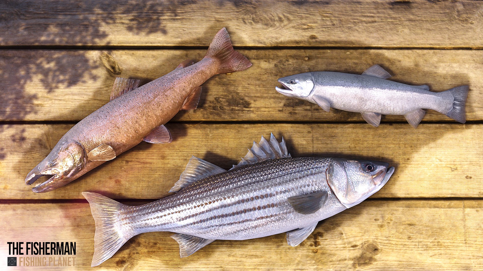 The Fisherman: Fishing Planet - Release im Oktober