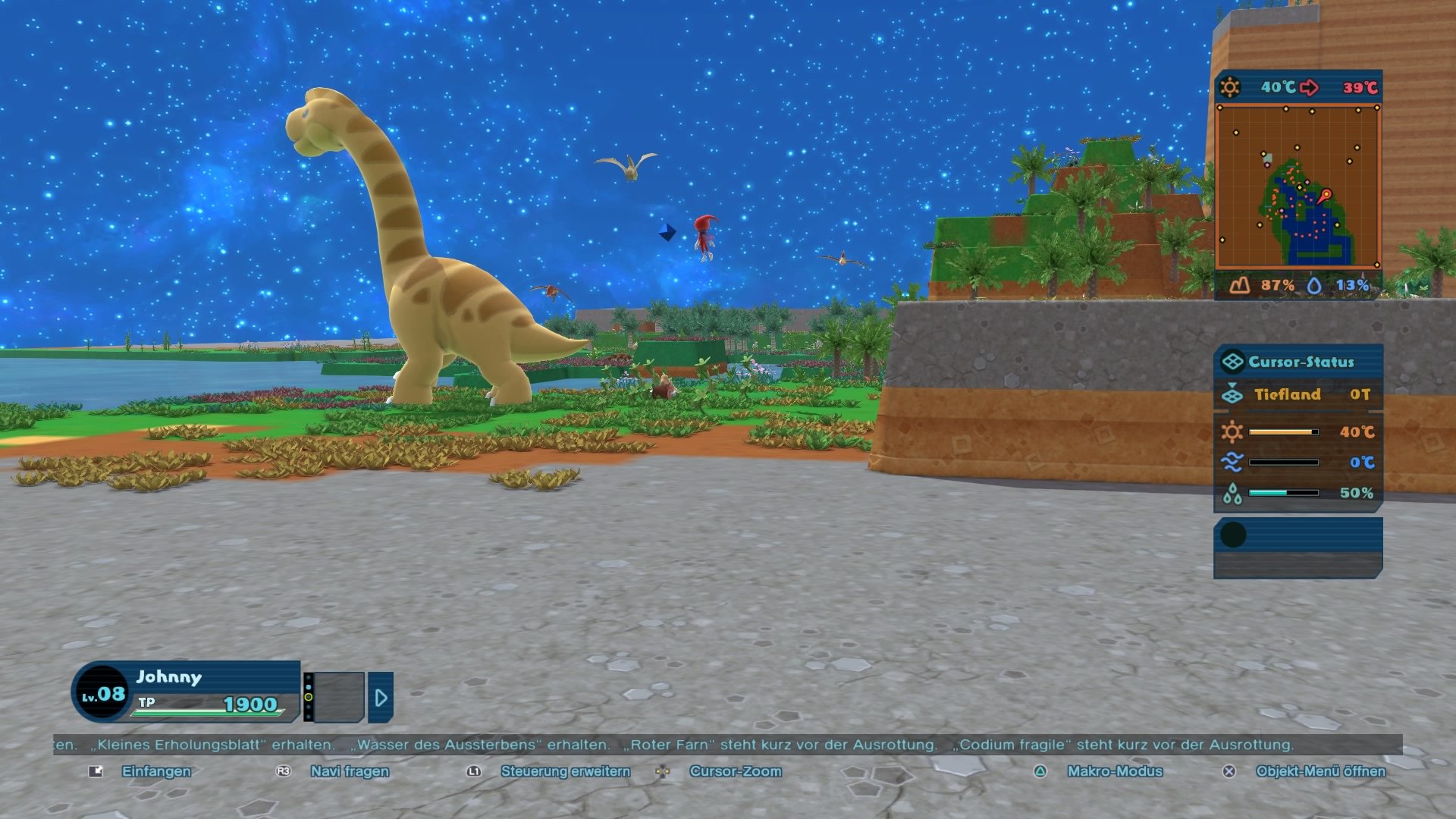 Birthdays the Beginning