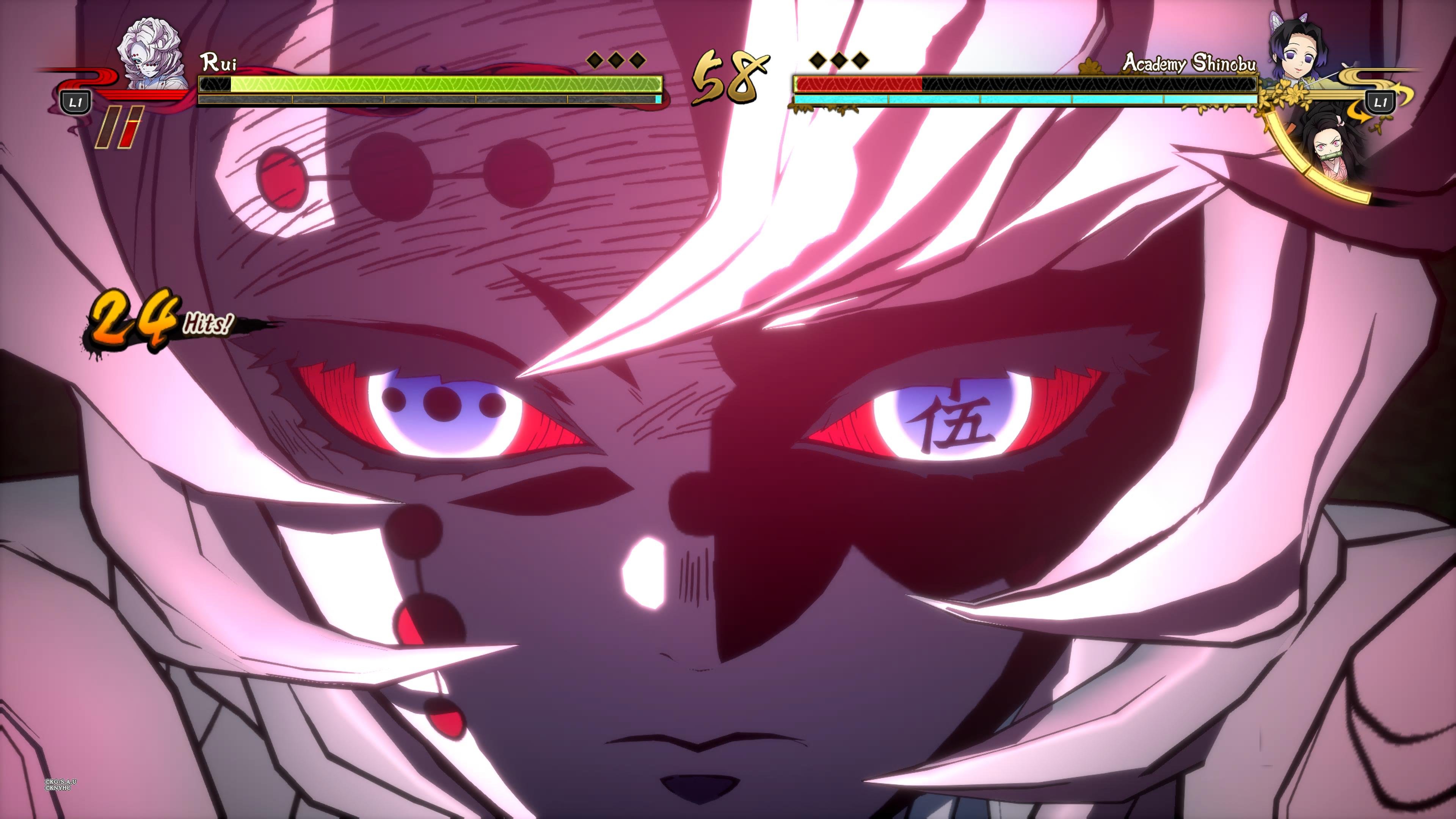 Demon Slayer: Kimetsu no Yaiba - The Hinokami Chronicles