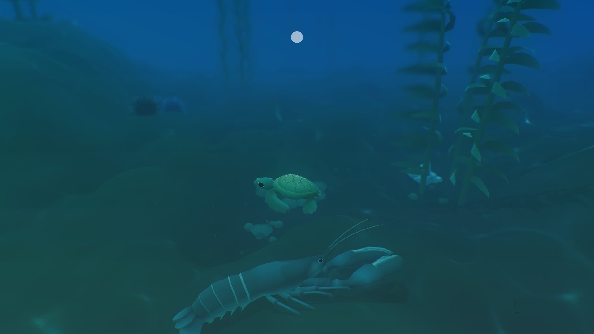 Neues Review: Everything