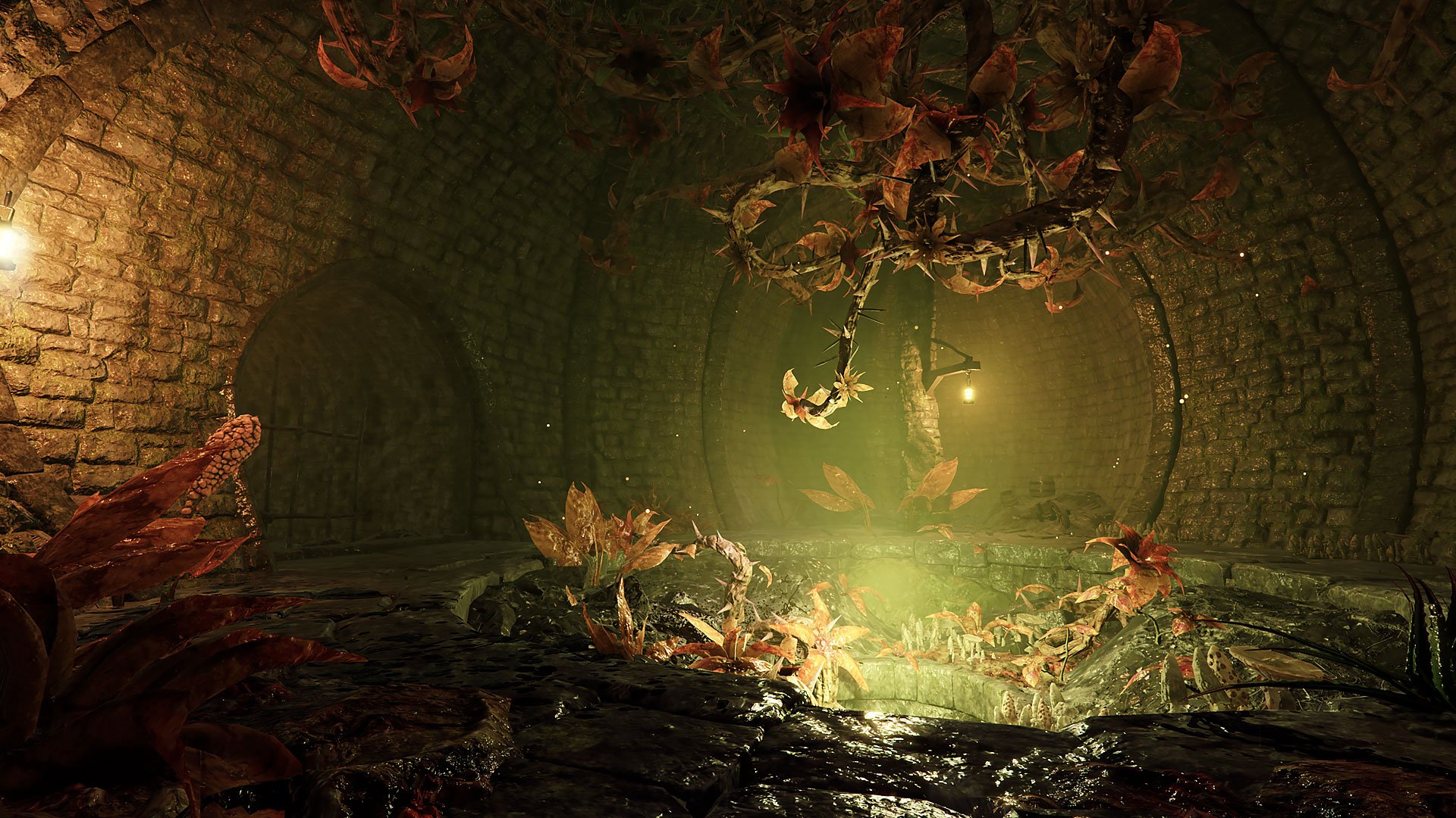 Warhammer: Vermintide 2 - Boost für PS5