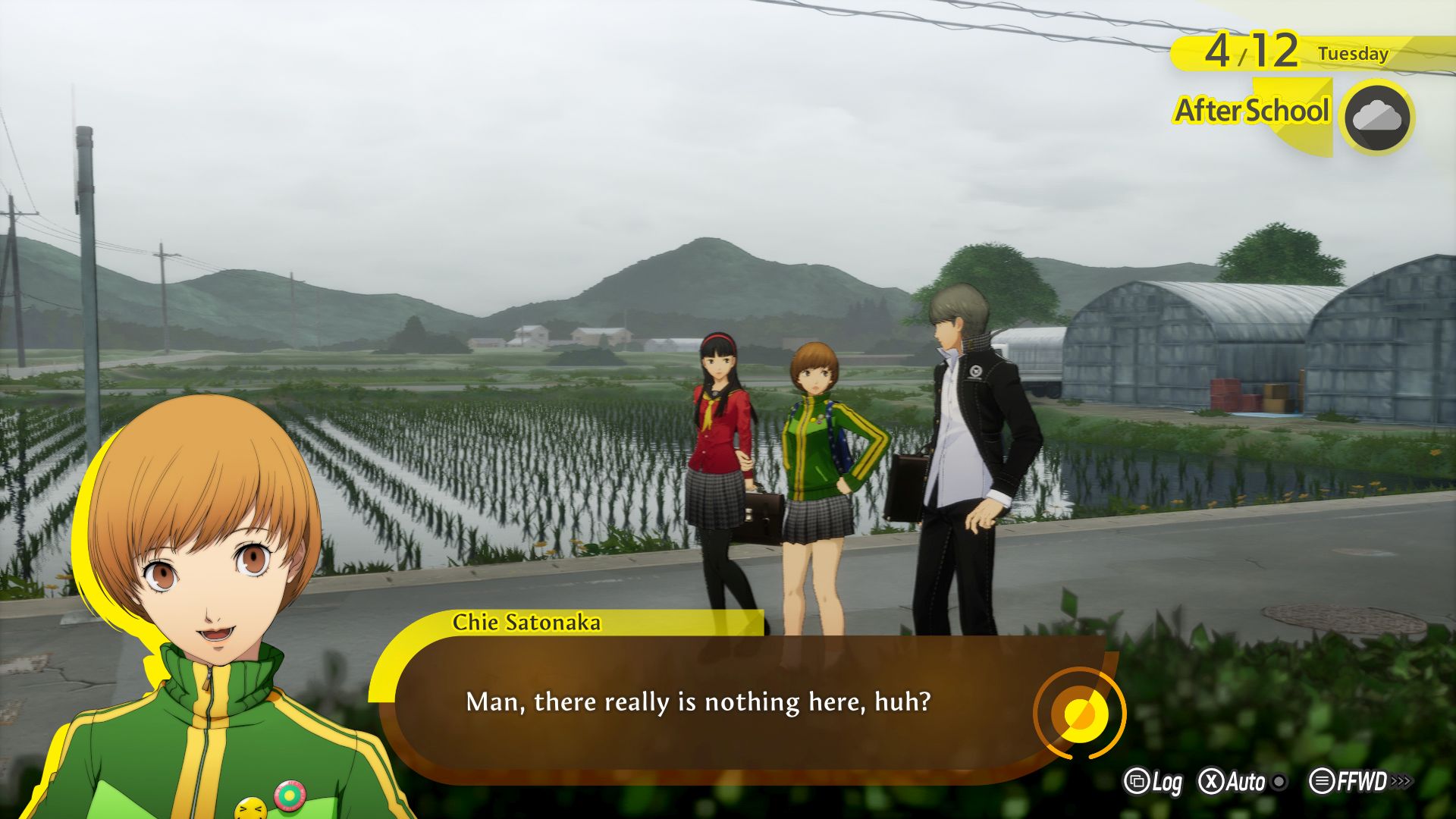 Persona 4 Revival